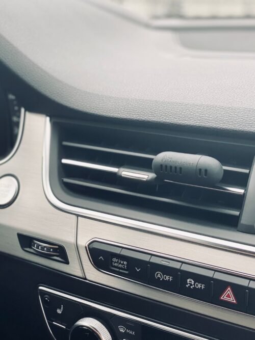 Automobilio gaiviklis "Breeze"