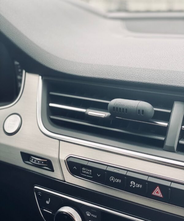 Automobilio gaiviklis "Rosso"