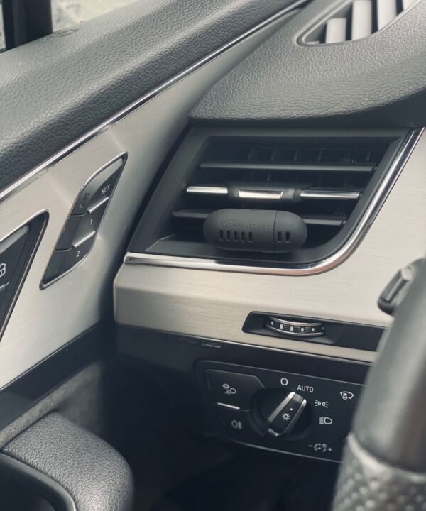 Automobilio gaiviklis "Champagne Rhubarb"