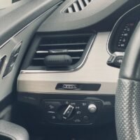 Automobilio gaiviklis "Champagne Rhubarb"