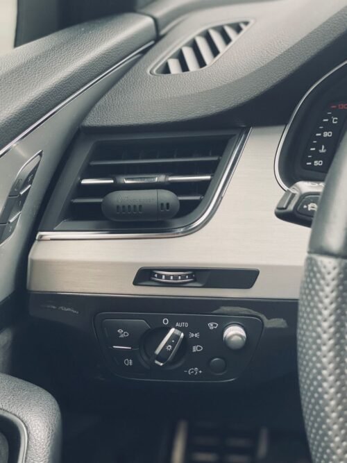 Automobilio gaiviklis "Champagne Rhubarb"