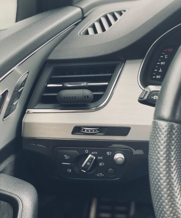 Automobilio gaiviklis "Rosso"