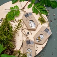 Spintos kvapas "Forest Sachet"