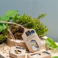 Spintos kvapas "Forest Sachet"