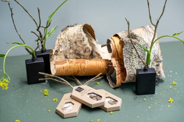 Spintos kvapas "Birch Sachet"