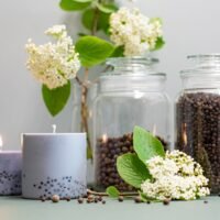 Sojos vaško žvakė su pačiulių aromatu 525 ml.