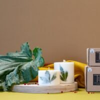 Sojos vaško žvakė su šalavijų aromatu 325 ml.