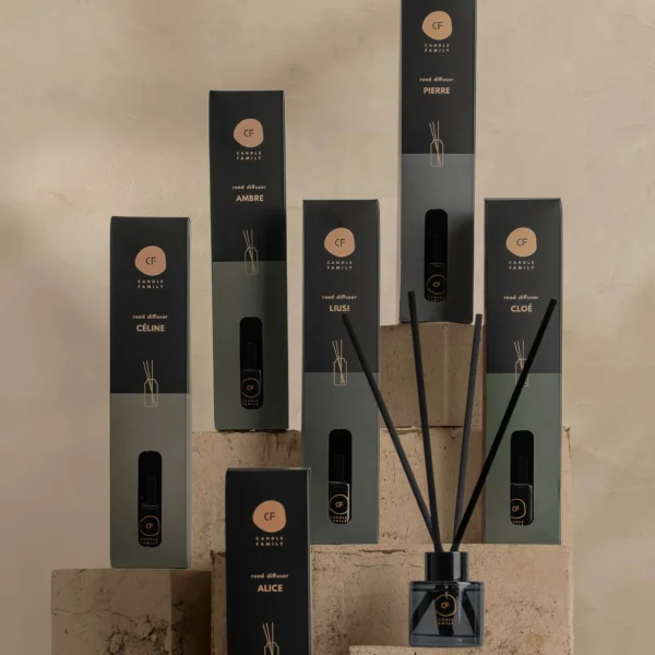 Namų kvapas su lazdelėmis „PIERRE“ 50 ml