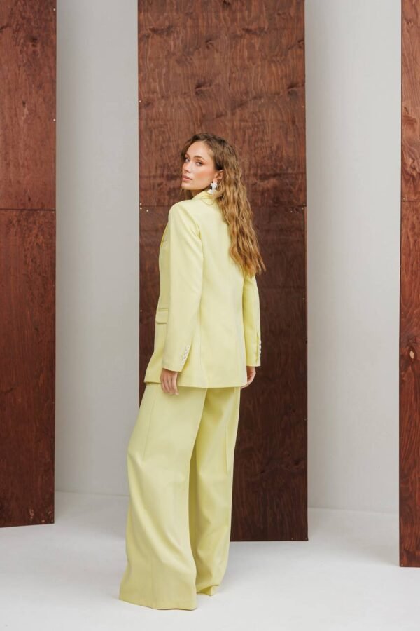 Klasikinis dviejų dalių kelnių kostiumas