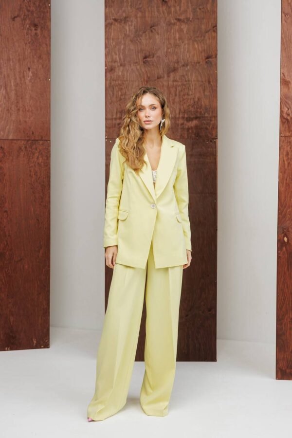 Klasikinis dviejų dalių kelnių kostiumas